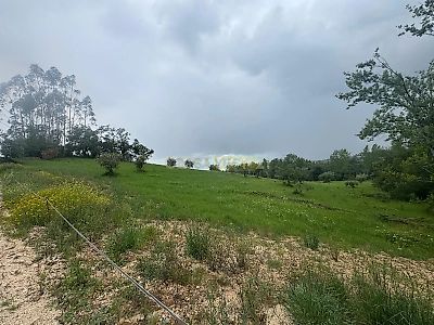 listing-picture-0