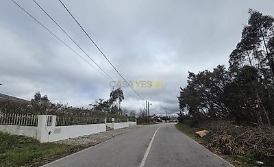 listing-picture-0
