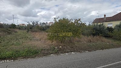 listing-picture-0