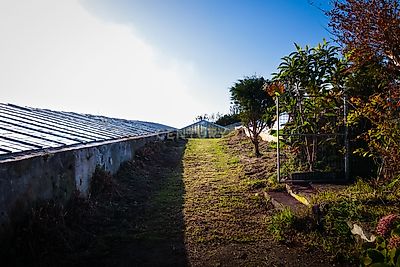 listing-picture-0