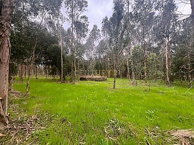 listing-picture-0