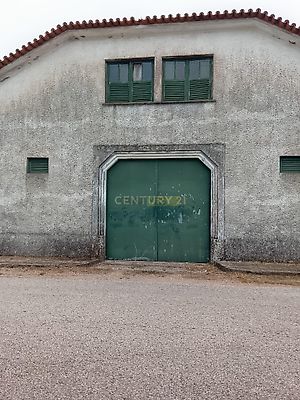 listing-picture-0