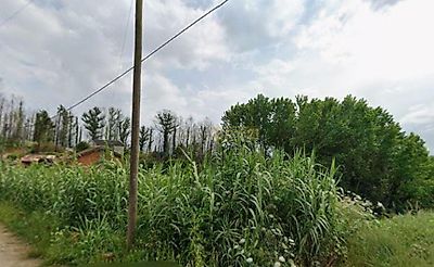 listing-picture-0