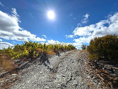 listing-picture-0