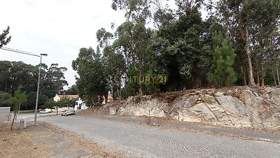 listing-picture-0