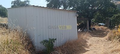 listing-picture-0