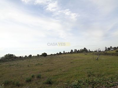 listing-picture-0