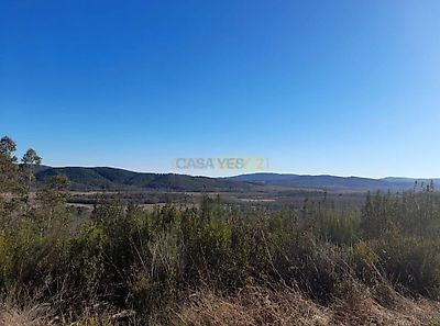 listing-picture-0