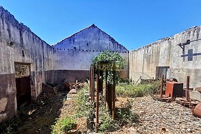 listing-picture-0