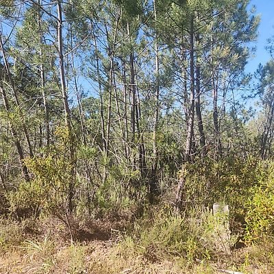 listing-picture-0
