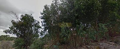 listing-picture-0