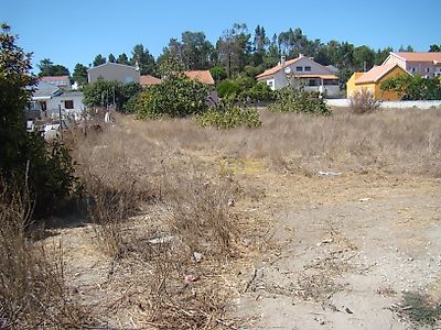 listing-picture-0