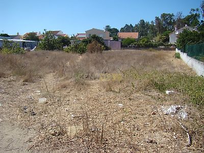 listing-picture-0