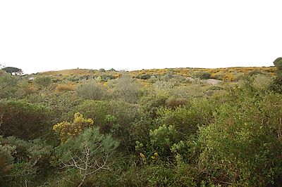 listing-picture-0