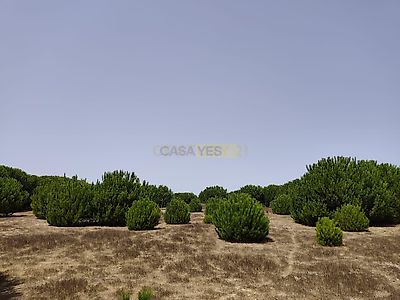 listing-picture-0