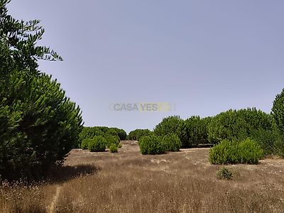listing-picture-0