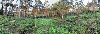 listing-picture-0