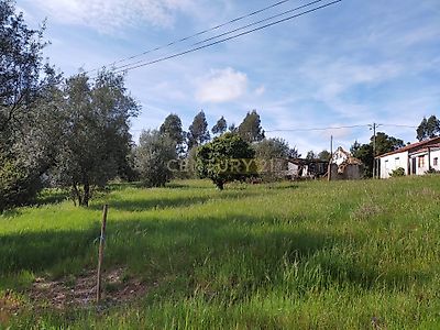 listing-picture-0