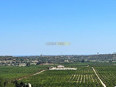 listing-picture-0
