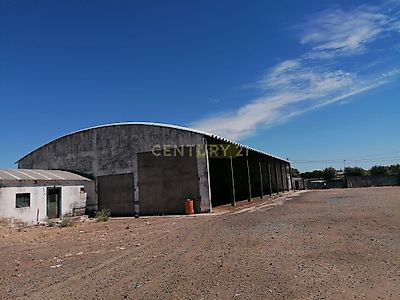 listing-picture-0