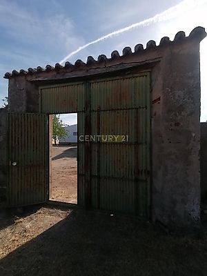 listing-picture-0