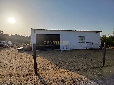 listing-picture-0