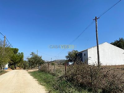 listing-picture-0