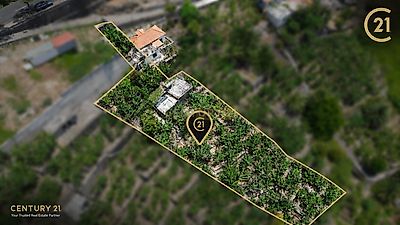 listing-picture-0