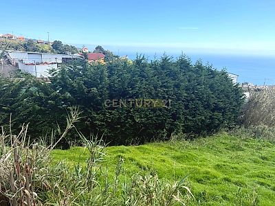 listing-picture-0