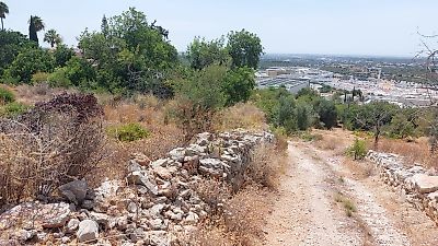 listing-picture-0