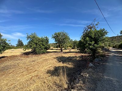 listing-picture-0