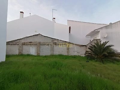listing-picture-0