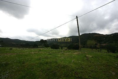 listing-picture-0