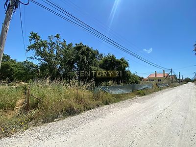 listing-picture-0