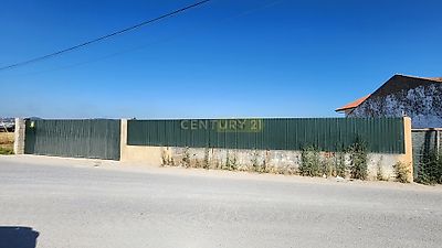 listing-picture-0