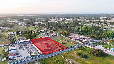 listing-picture-0