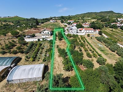 listing-picture-0