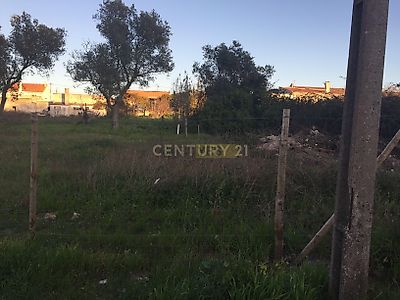 listing-picture-0