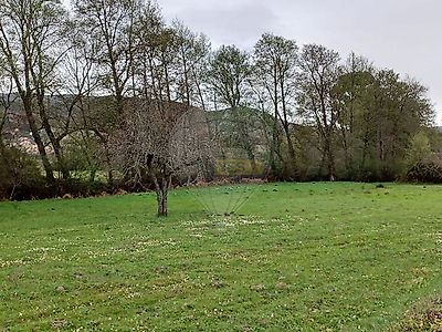 listing-picture-0