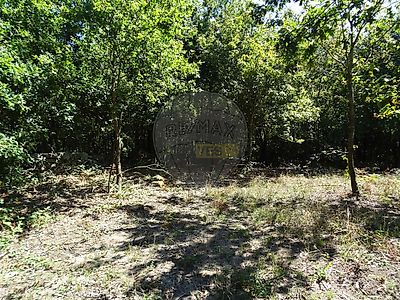 listing-picture-0