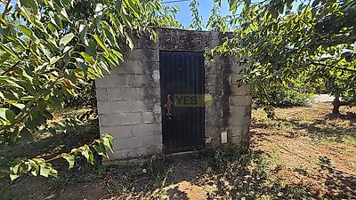 listing-picture-0