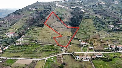 listing-picture-0