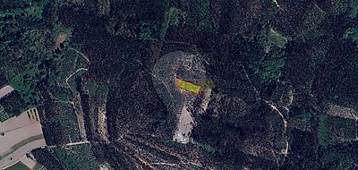 listing-picture-0