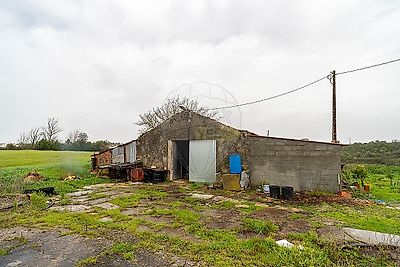 listing-picture-0