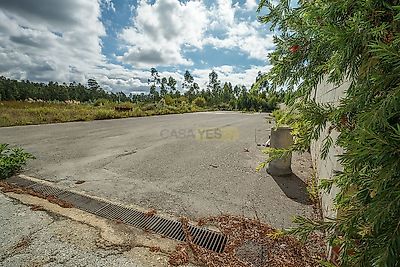 listing-picture-0