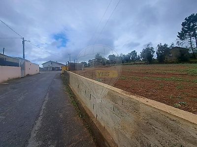 listing-picture-0