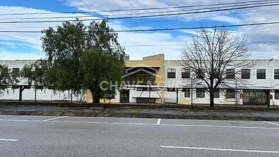 listing-picture-0