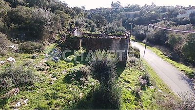 listing-picture-0