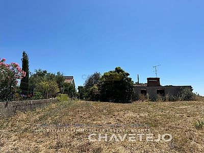 listing-picture-0