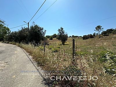 listing-picture-0